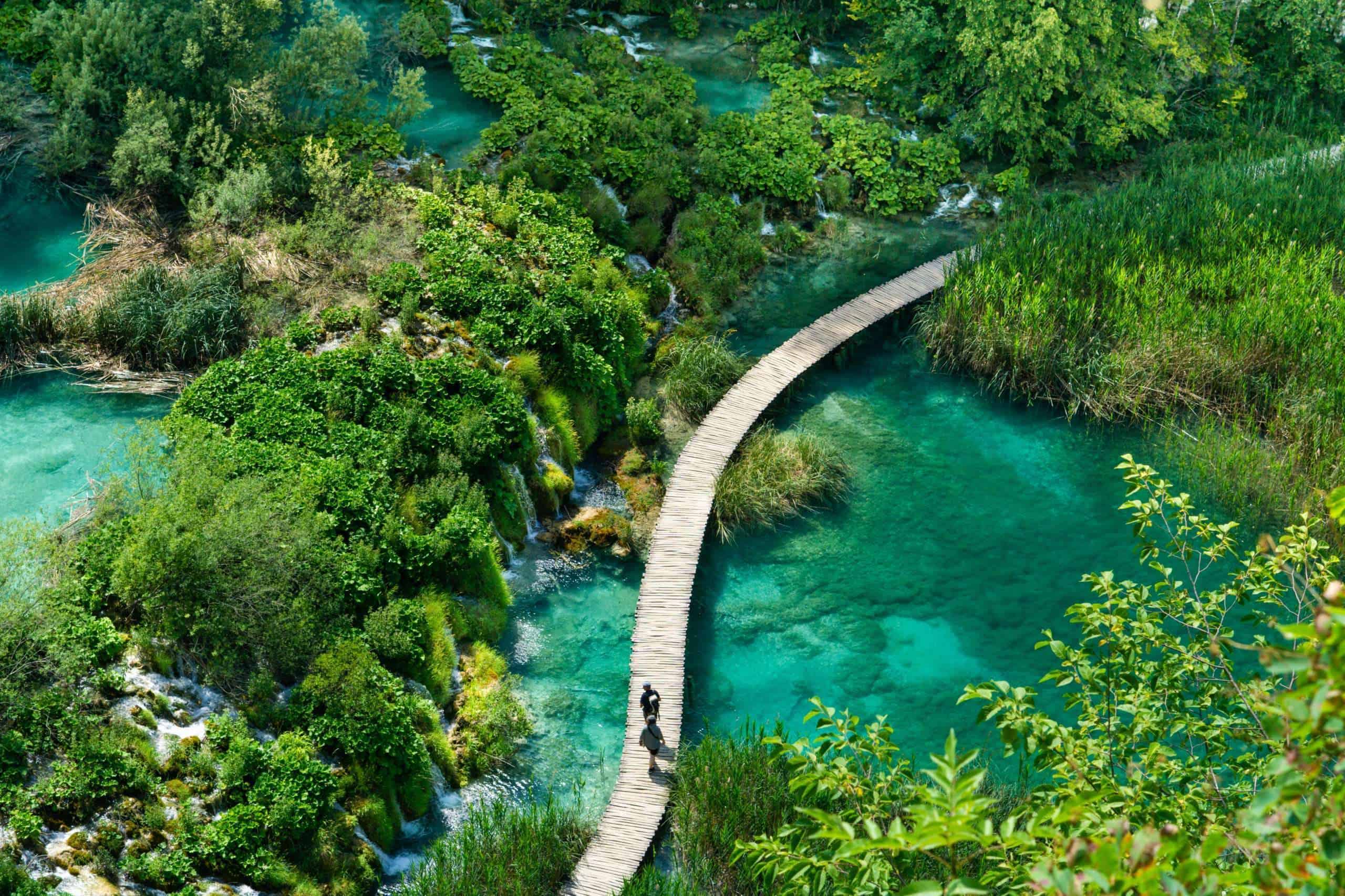A Winding Path