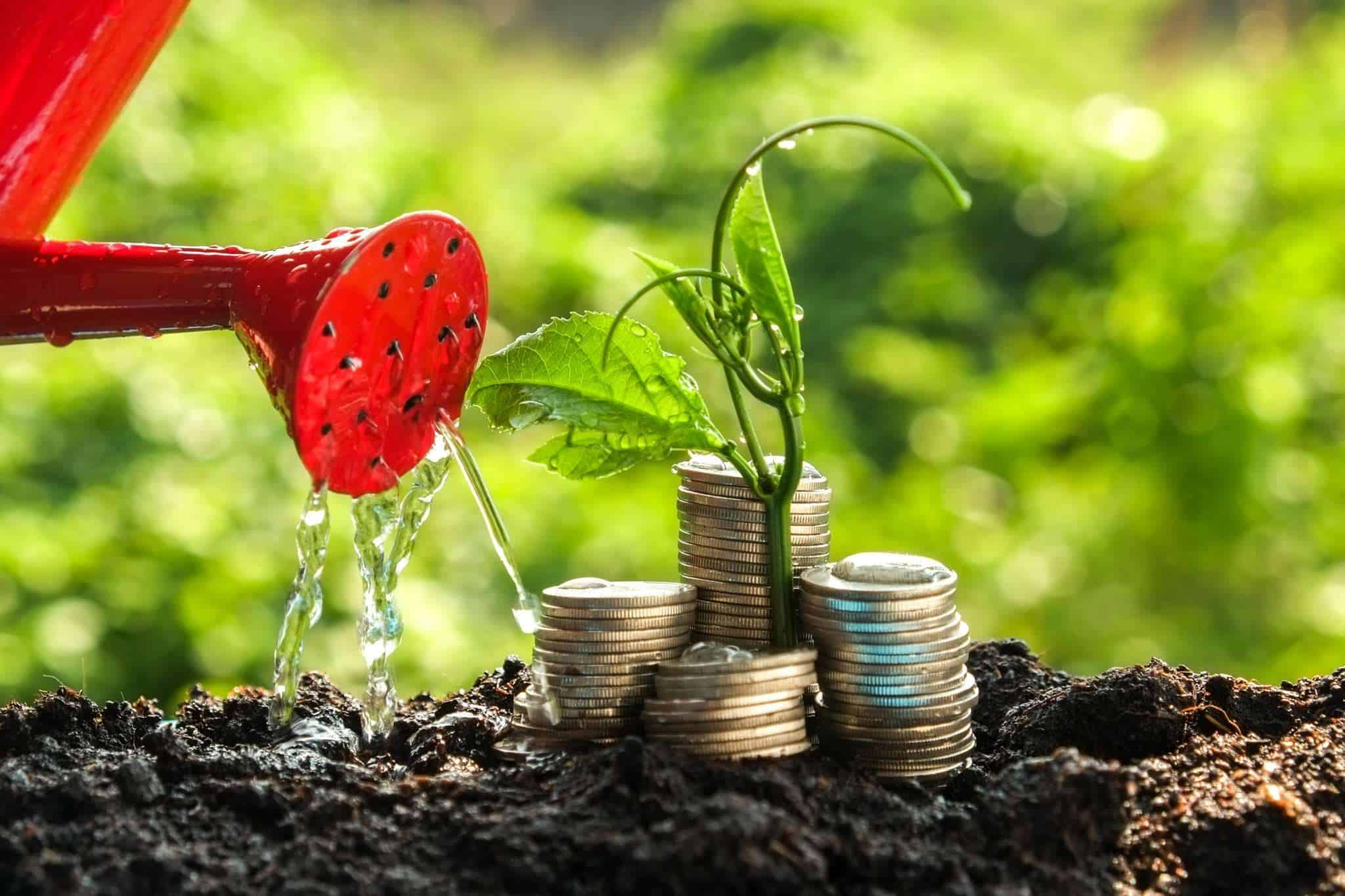 Financing Your Small Business Growth With Debt