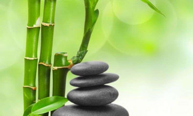 small business growth