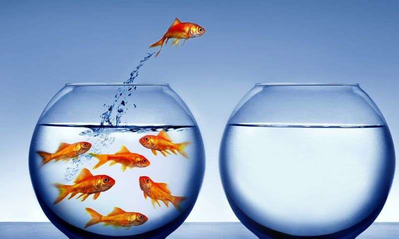 challenge yourself